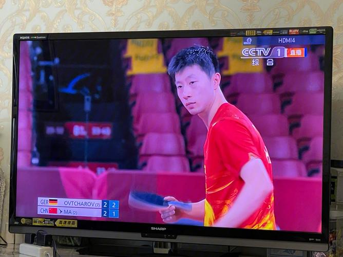 乒乓球比赛直播在线观看